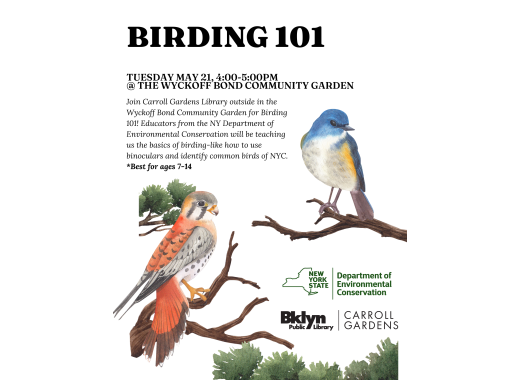 flier for birding 101. Photo of blue and red bird with text stating that the program will take place on Tuesday May 21st from 4-5PM and will teach ages 7-14 how to bird watch.